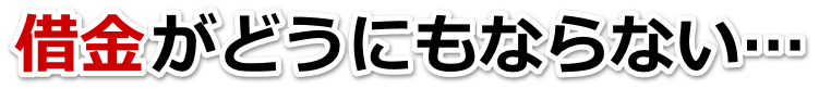 もうどうしようもない。借金が返せない。犬山市で弁護士や司法書士に無料で相談する